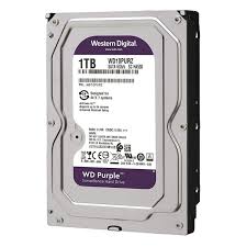 Western Digital A/V G/P 1 TB Hard Disk